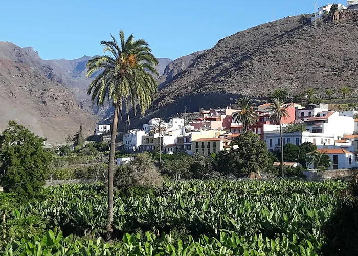 Los Olivos