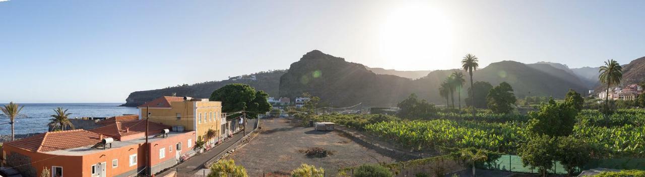 Olivos * Playa de Santiago (Isla de la Gomera)