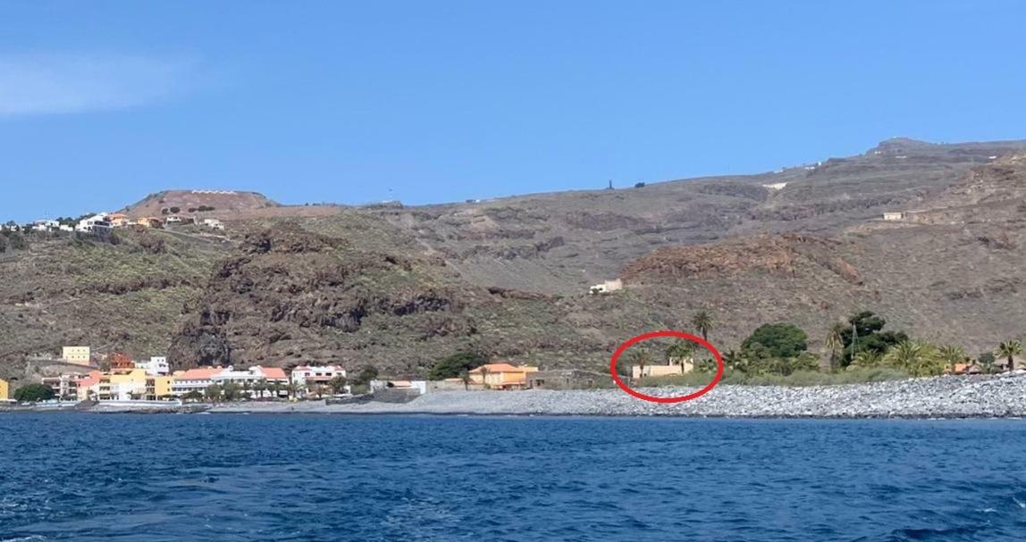 Olivos Playa de Santiago (Isla de la Gomera)