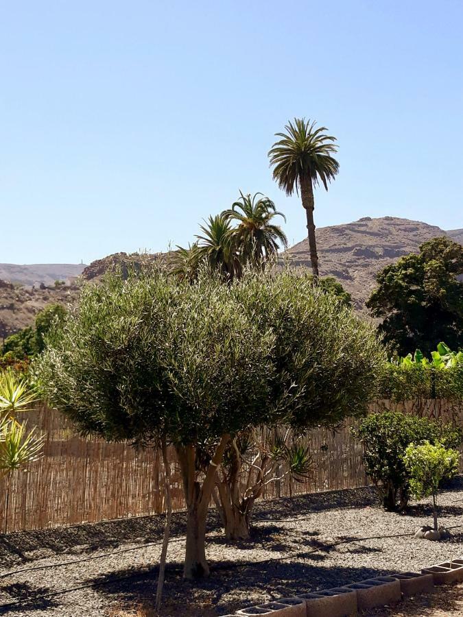 Apartment Olivos Playa de Santiago (Isla de la Gomera)